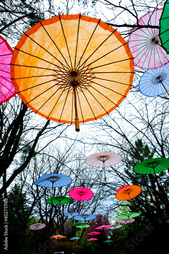 Colorful Decorative Umbrellas Hanging Above in Garden