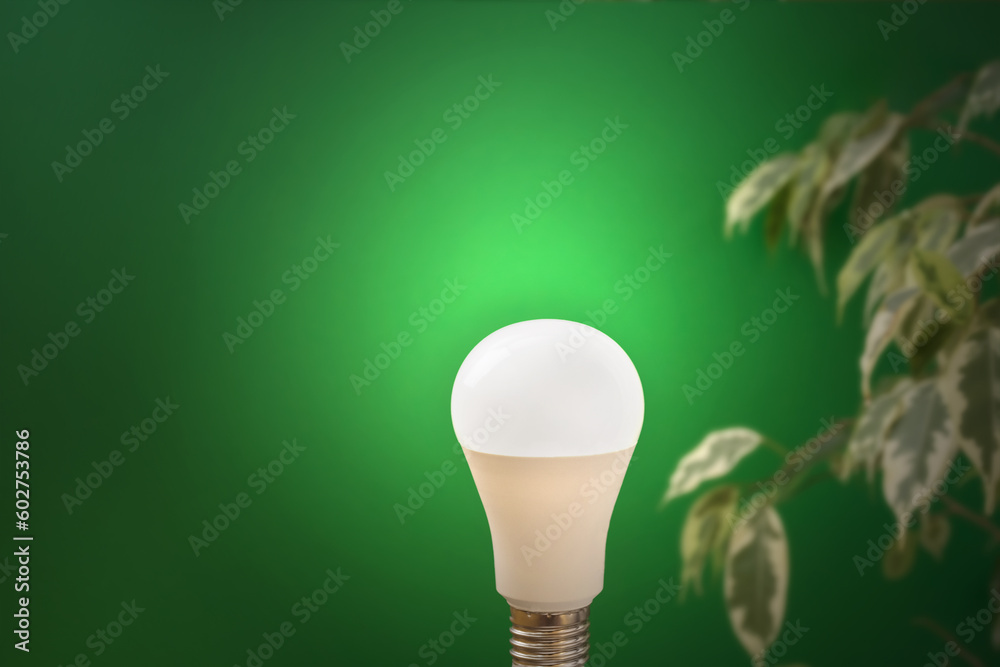 Green energy. Light lamp glowing on green plant background. Concept of Earth Day, energy-efficient lighting, Environmental protection important to world. Copy Space Green energy. Light lamp glowing on green plant background. Concept of Earth Day, energy-efficient lighting, Environmental protection important to world. Copy Space