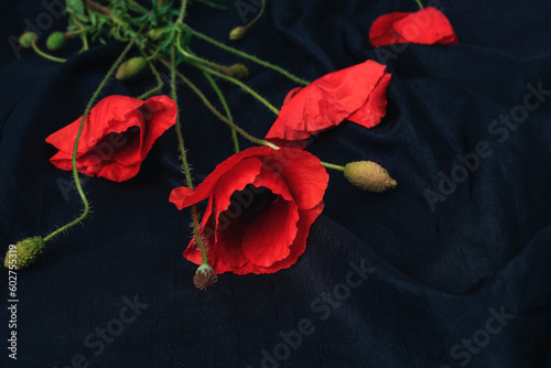 Red poppy flowers on black textile background. Remembrance Day concept. Copy space