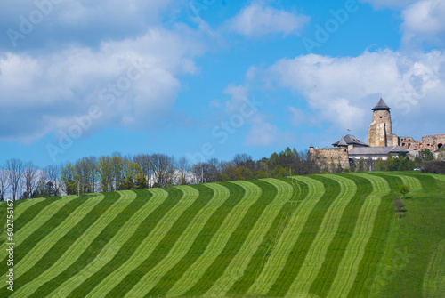 Europe, Slovakia, Stara Lubovna, Altlublau - castle and Perfectly striped freshly mowed grass meadow in spring.