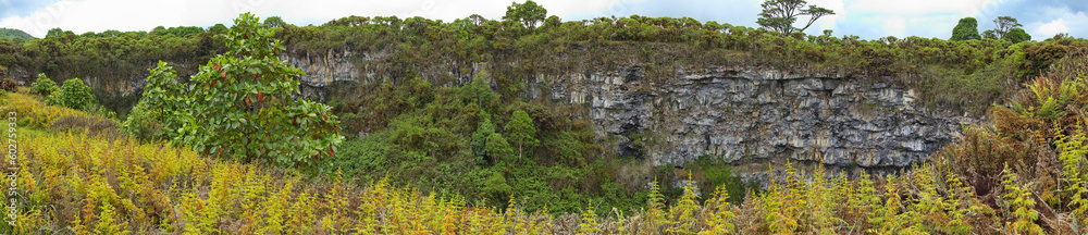 Crater Los Gemelos at Santa Rosa on Santa Cruz island of Galapagos islands, Ecuador, South America
