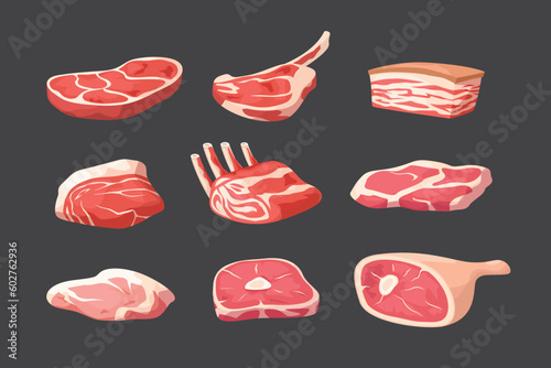 various fresh meat in set on dark