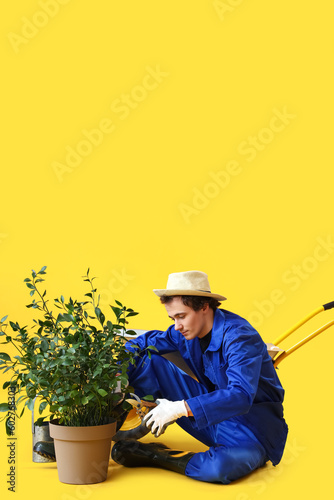 Male gardener cutting plant...