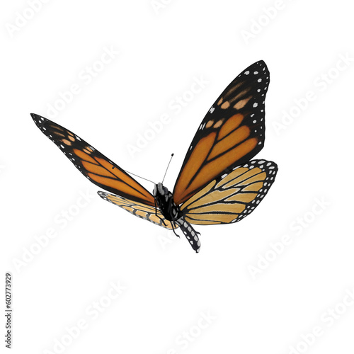 Monarch butterfly on the top scene or side preview