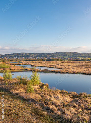 Bog Grosses Torfmoor in Germany.