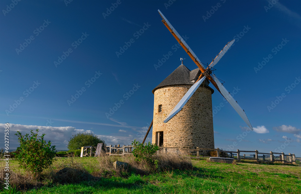 view of old rustic historic windmill Moulin de Moidrey in green grass field meadow Pontorson Normandy France