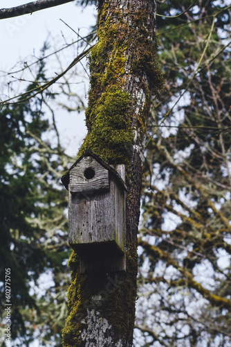 Bird house on tree at the Cascades Raptor Center in Eugene, OR © Sophia