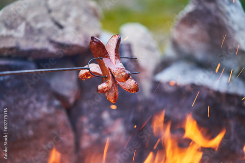 Typical barbecue sausage made from melted pork and lard on the stick over the open camping fire in summer holiday time. Backwoods barbeque food typical for outdoor trips in Czech Republic or Slovakia.