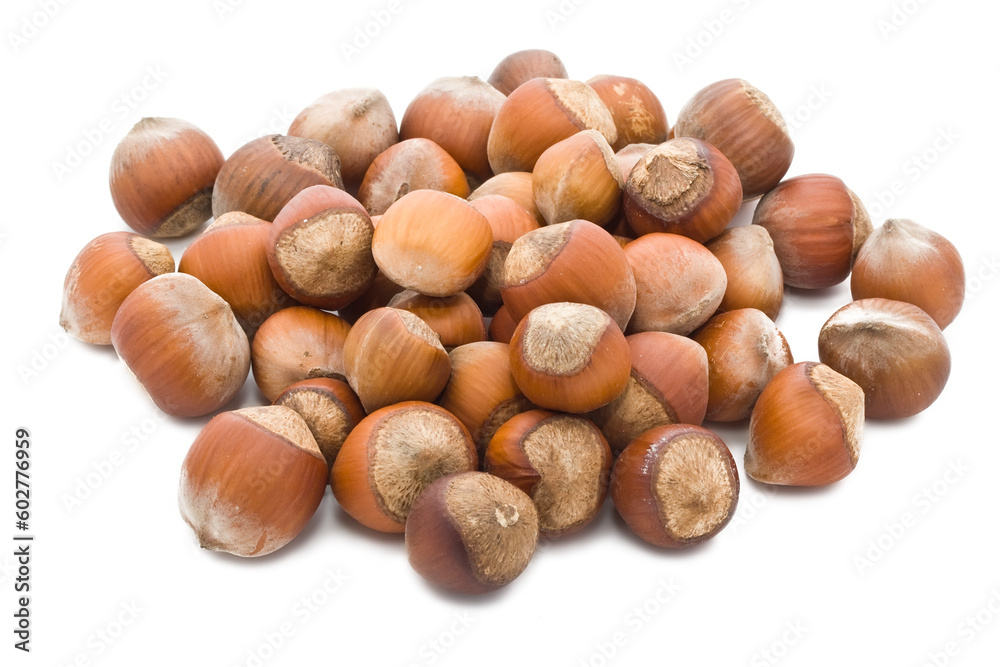 Filbert nuts isolated on white background Filbert nuts isolated on white background