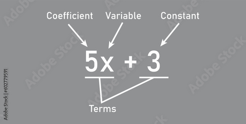 Algebraic expressions parts in mathematics. Coefficient, variable, constant and terms. Parts of an expression. Math resources for teachers.
