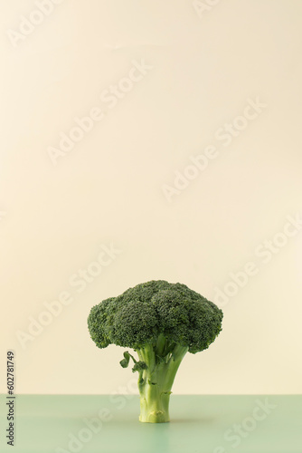 Fresh raw whole broccoli on a green and beige background. Vegetarianism, healthy eating. Copy space