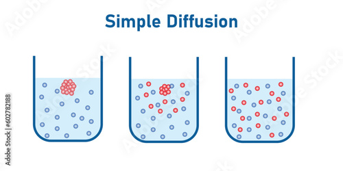 Simple diffusion diagram in chemistry. Vector illustration isolated on white background.