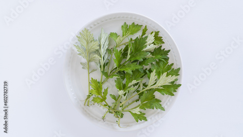 お皿の上のヨモギの葉 白い背景