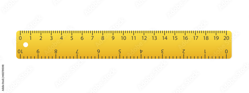 Rulers 20 centimeters with isolated on white. Measuring tool. School