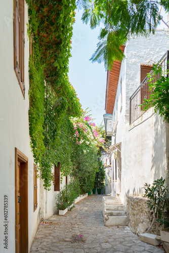 Fototapeta Naklejka Na Ścianę i Meble -  Narrow street in old european town in summer sunny day. Beautiful scenic old ancient white houses, cafe and shops with green plants. Popular tourist vacation destination, mediterranean architecture