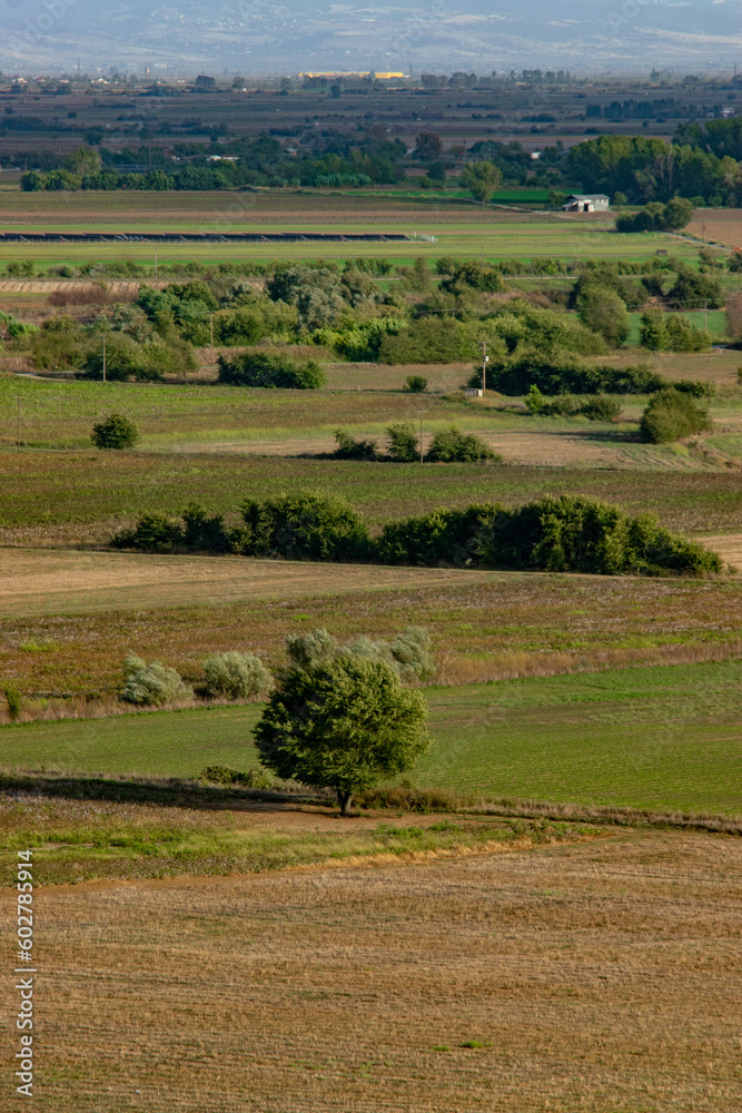 Plains Plains