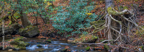 Mountain stream with vibrant color