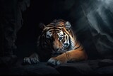 resting tiger in a dimly lit cave Generative AI
