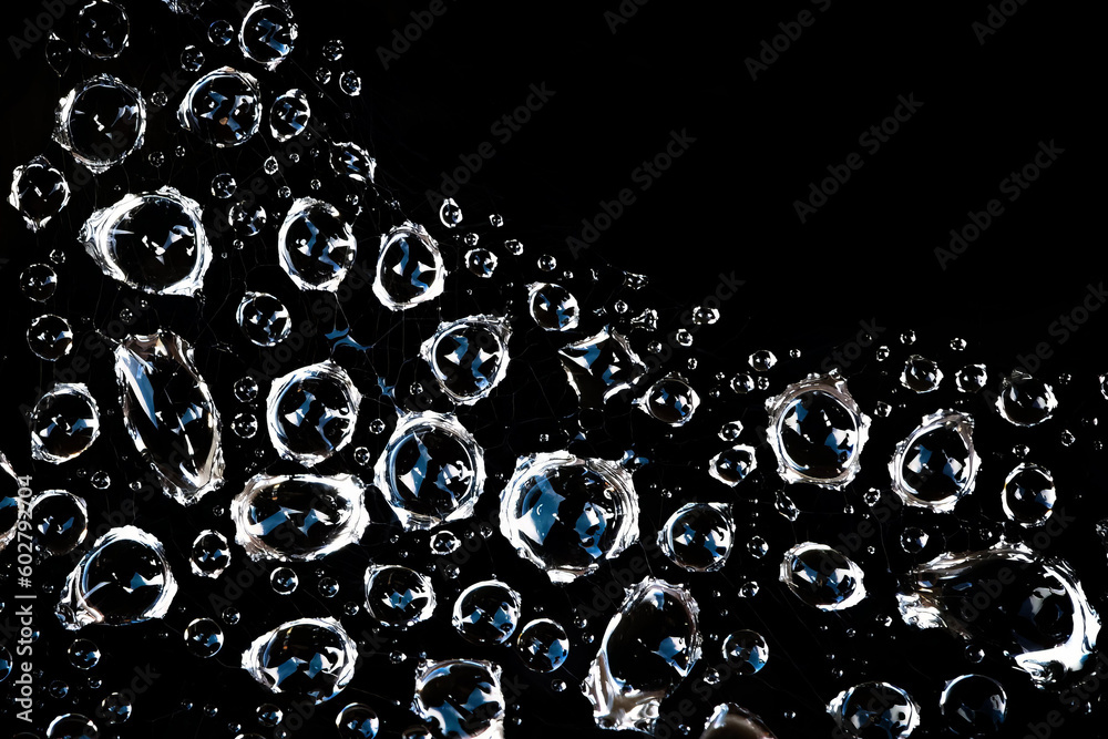 morning dew drops on a spiders web against a black background morning dew drops on a spiders web against a black background