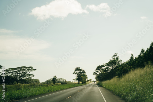 Highway through a lush tropical forest in kauai, hawaii - may 2023 photo