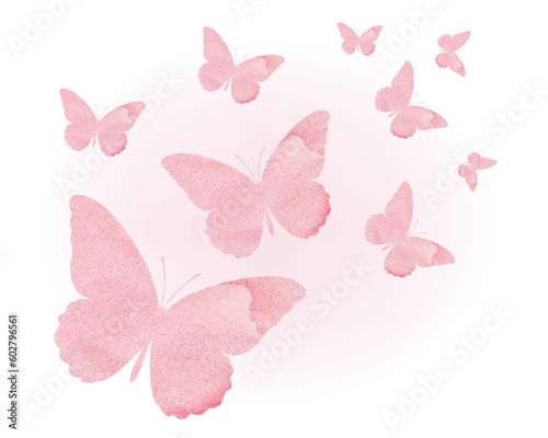 butterflies and flowers