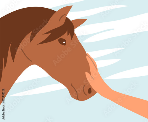 Human and horse. A beautiful elegant animal with a mane and hooves. Friendship and care for animals. Sport and hippodrome. Cartoon vector illustration