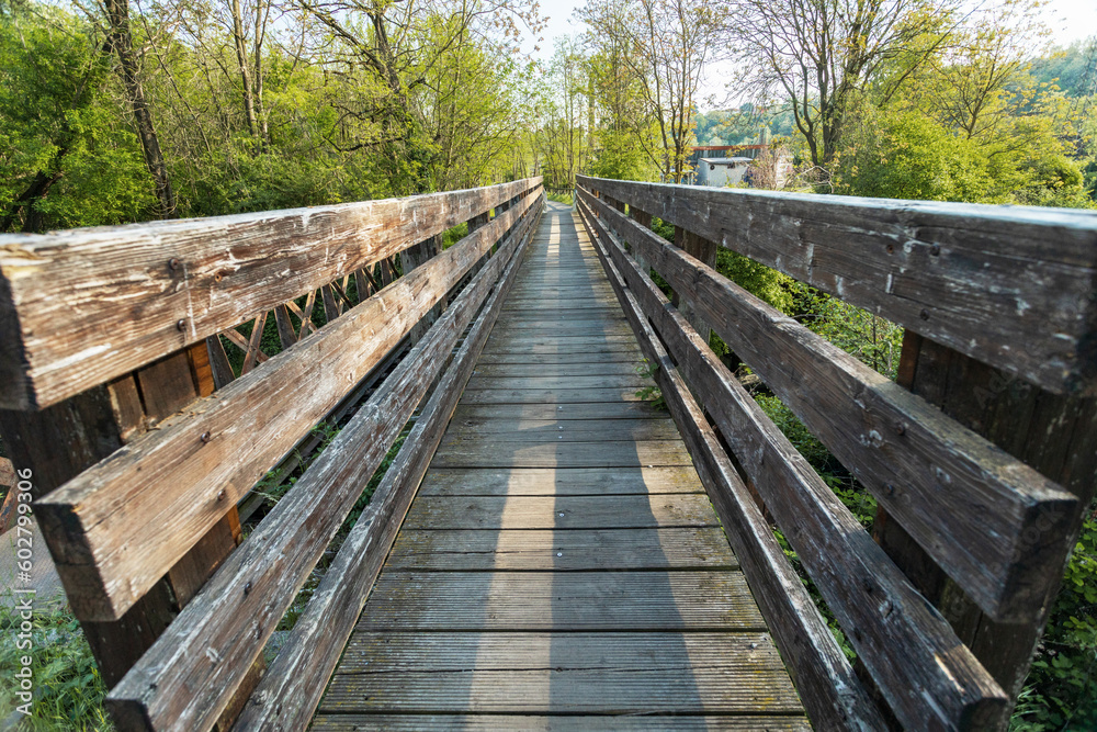 Fototapeta premium wooden bridge in the forest