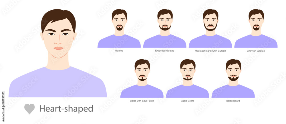 Set of Beard style for Heart shaped face shape and mustache men illustration Facial hair. Vector black purple portrait male Fashion template flat barber collection. Stylish hairstyle isolated outline Set of Beard style for Heart shaped face shape and mustache men illustration Facial hair. Vector black purple portrait male Fashion template flat barber collection. Stylish hairstyle isolated outline