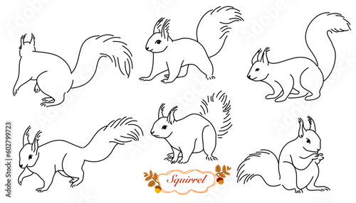 Vector set of squirrel, outline squirrel collection, black calligraphy line art, indifferent position isolated on white background,