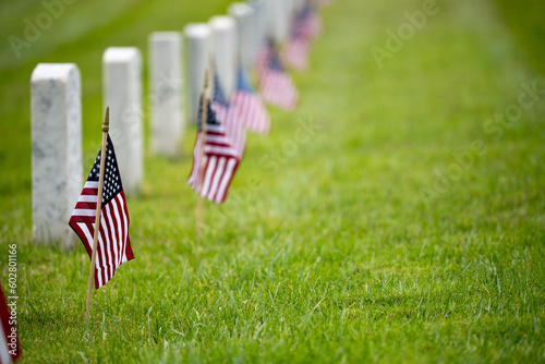 A row of American Flags and gravestones in a National Cemetery - Memorial Day