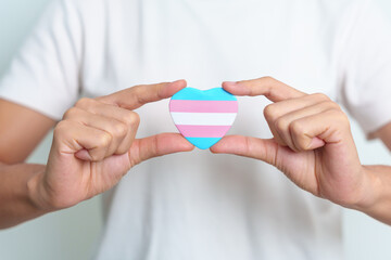 Transgender Day and LGBT pride month,  LGBTQ+ or LGBTQIA+ concept. hand holding blue, pink and white heart shape for Lesbian, Gay, Bisexual, Transgender, Queer and Pansexual community