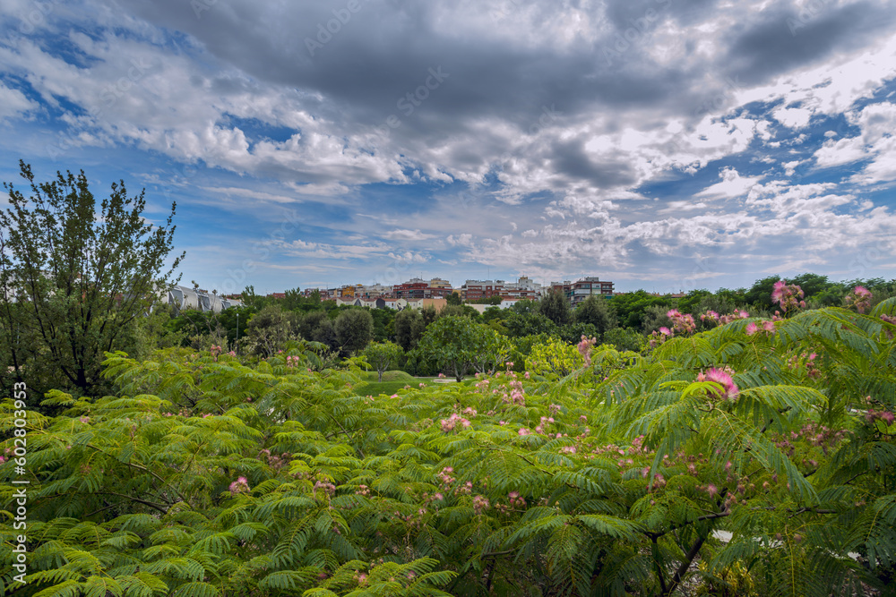 Fototapeta premium A panoramic image of an urban park with a lot of vegetation