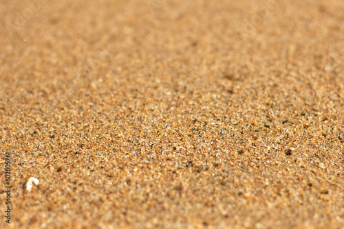 Detail Macro of beach sand