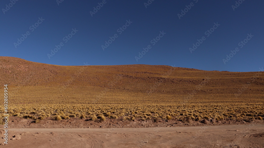 Naklejka premium Deserto do Atacama, Chile em um dia de sol.