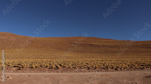Deserto do Atacama  Chile em um dia de sol.