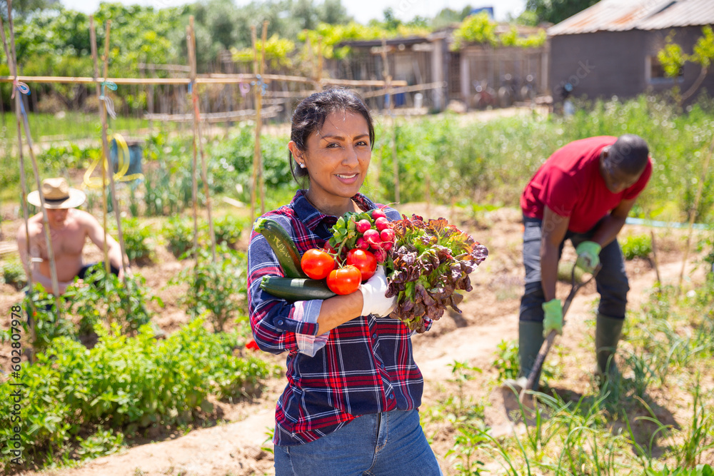 Fototapeta premium Portrait of an happy latino woman with ripe vegetables in his garden