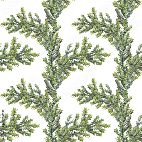 Seamless pattern watercolor green christmas tree branch isolated on white background. Forest fir for sticker or card. Realistic hand-drawn art for new year celebration invite or wrapping wallpaper