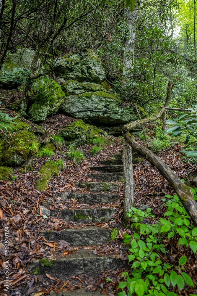 steps steps