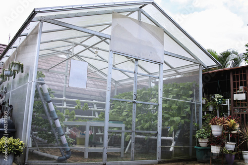 Greenhouse glass house with plant assortment in the garden. Greenhouse for growing plant seedlings hydroponic vegetables.