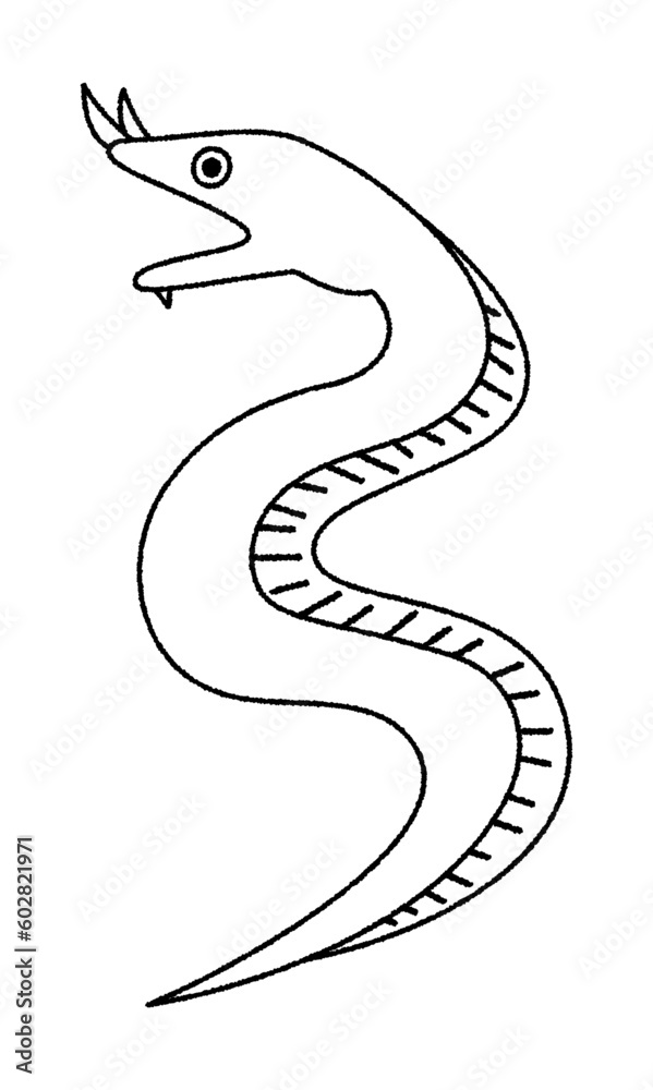 Fototapeta premium ハナヒゲウツボのベクター線画イラスト