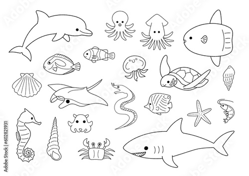 海の生き物・魚