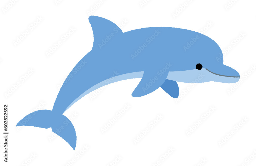 Fototapeta premium イルカのベクターイラスト