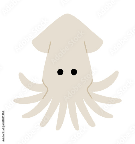 イカのベクターイラスト