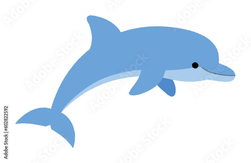 イルカのベクターイラスト