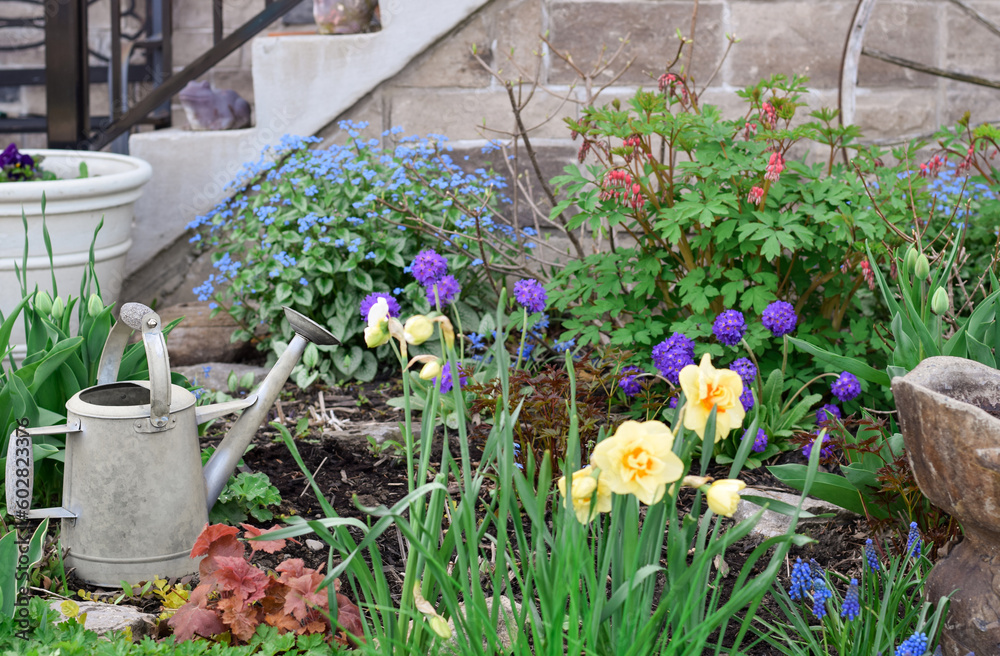 Spring perennial flowerbed in the front yard of a house with watering can