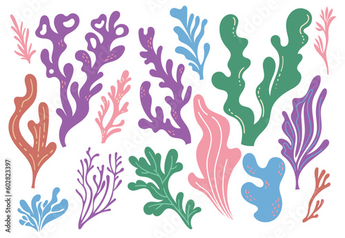 coral reefs and seaweed doodle design element