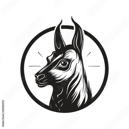 vicuna, vintage logo line art concept black and white color, hand drawn illustration