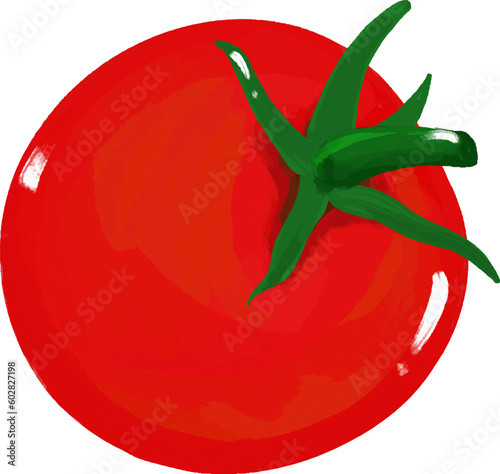 Red tomato, Vector drawing, Tomato, Tomato Vector, Vegetable, food Ingredients