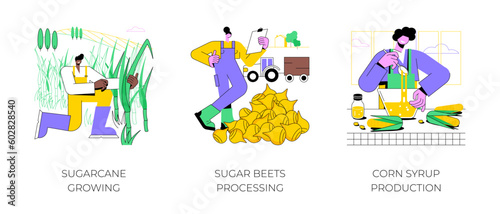 Sugar production isolated cartoon vector illustrations set. Sugarcane growing, crop cultivation, farmer processing sugar beets, corn syrup making process, agribusiness worker vector cartoon.