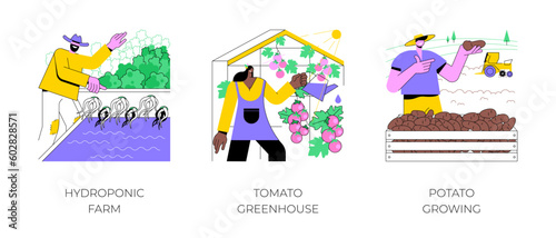 Vegetable industry isolated cartoon vector illustrations set. Hydroponic farm, leafy greens growing, tomato greenhouse, farmer cultivates potatoes on field, agribusiness worker vector cartoon.